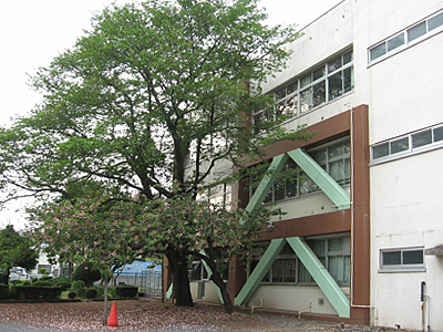 八王子市立元八王子中学校