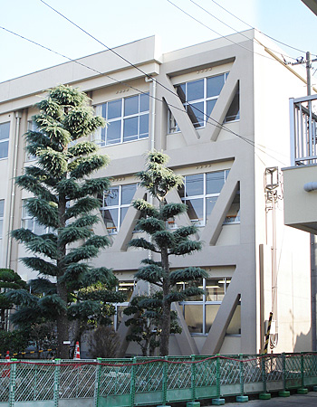 丸亀市立城南小学校II期
