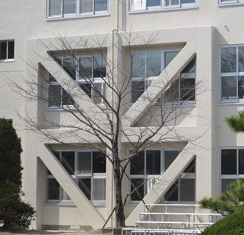 愛知教育大学附属名古屋中学校