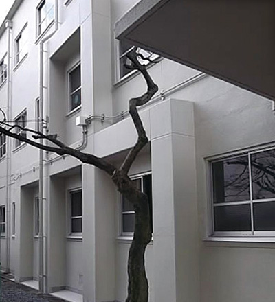 京都市立岡崎中学校