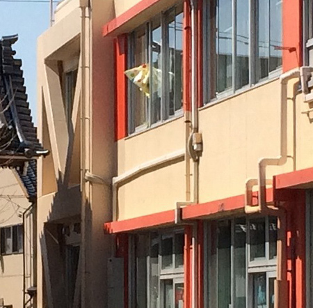 （石川）双葉保育所