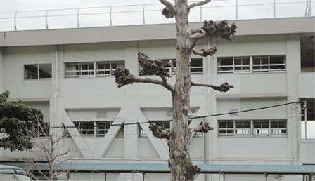 あきる野市立多西市小学校