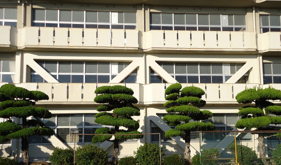 周南市立今宿小学校管理教室棟（No.19）